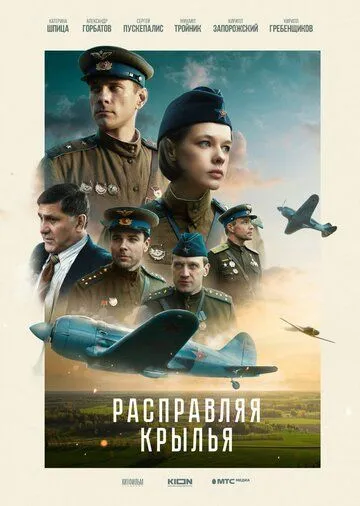 Расправляя крылья смотреть бесплатно